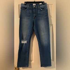 Hudson Jeans Distressed Jeans Size 3